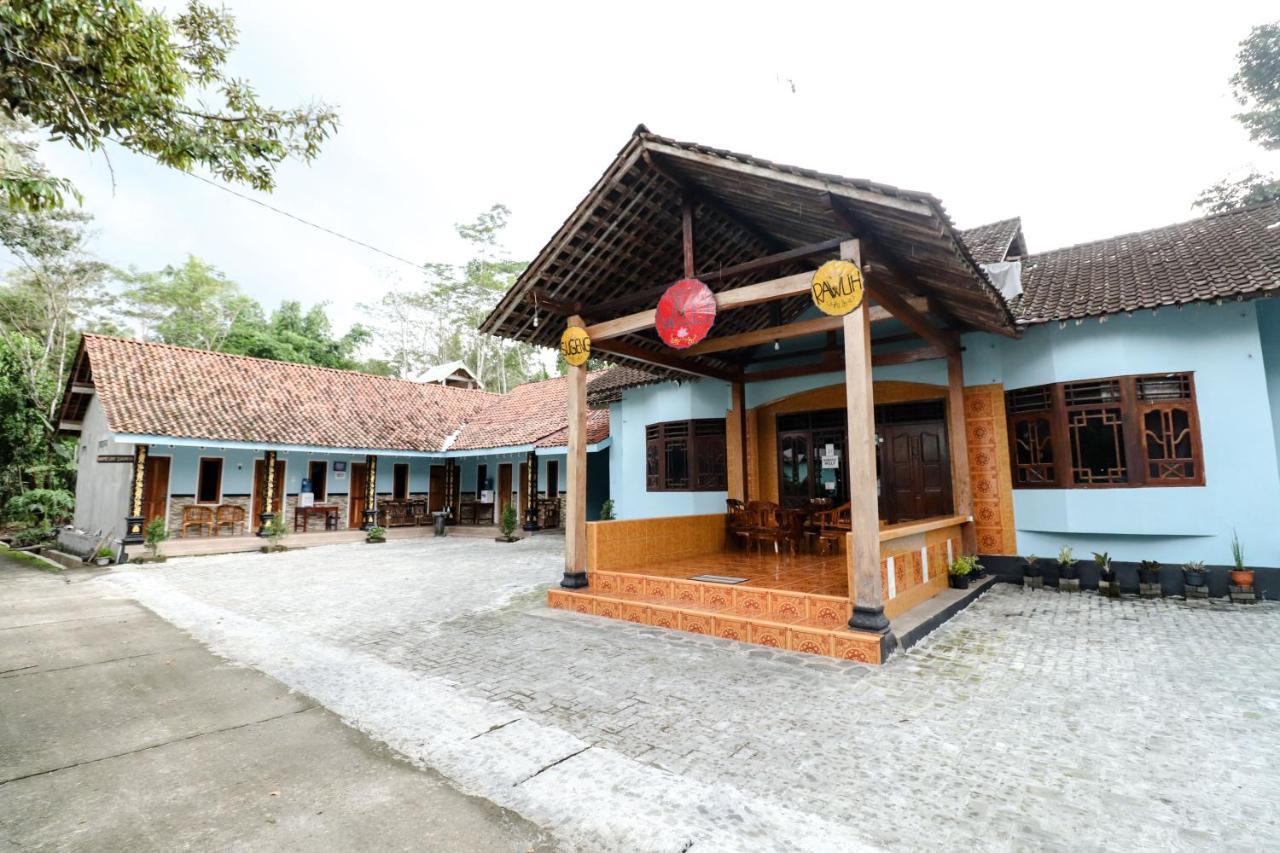 Willy Homestay Borobudur Magelang Εξωτερικό φωτογραφία